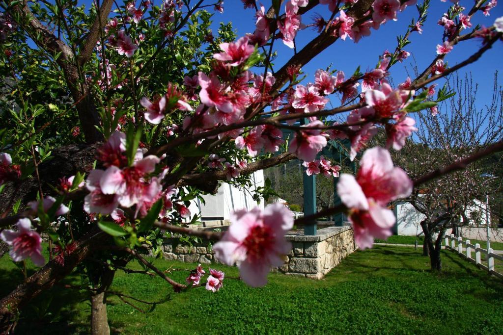 Hospederia Rural Aldeaduero Guest House Saucelle Exterior photo